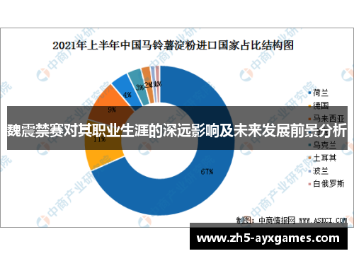 魏震禁赛对其职业生涯的深远影响及未来发展前景分析 魏震禁赛对其职业生涯的深远影响及未来发展前景分析