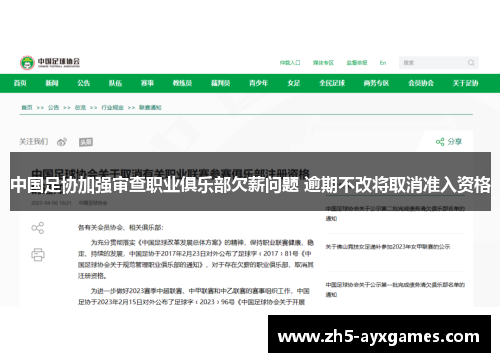 中国足协加强审查职业俱乐部欠薪问题 逾期不改将取消准入资格